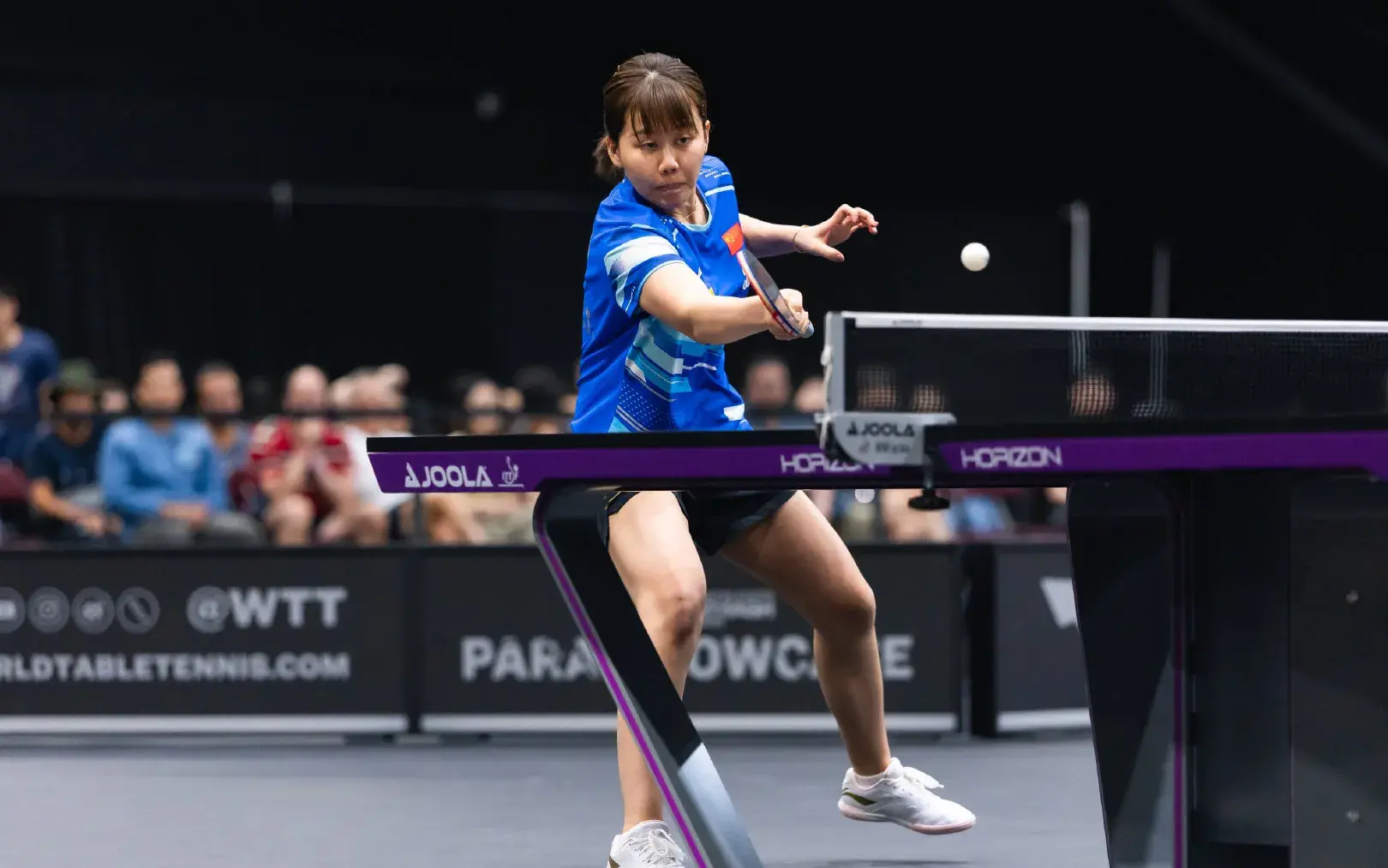 王楚钦击败, div